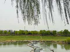 -洨河生态公园