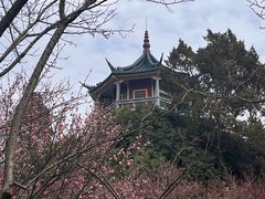 -无锡梅园公园