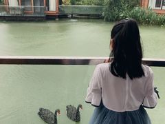 景点-杭州开元森泊度假乐园