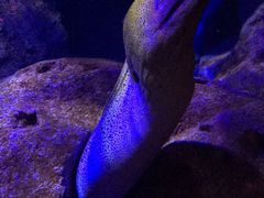 -波塞冬旅游度假区