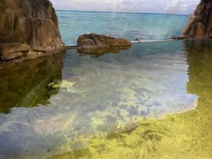 -江和美海洋公园