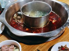 -金鼎雪山牦牛杂火锅(理县总店)