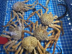 -渔港甄宴·海鲜·地标烟台菜(金沙滩店)