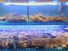 -悦鼎汇海鲜姿造