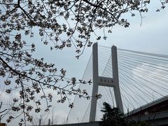 -南浦大桥长途旅游客运站