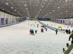 -绍兴启迪乔波冰雪世界