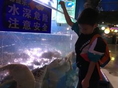 -烟台海昌鲸鲨海洋公园