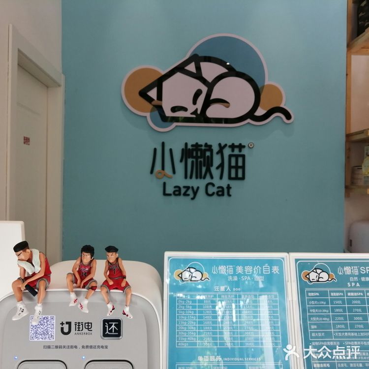 名曰：小懒猫轻奢宠物馆 就在康桥大酒店旁边