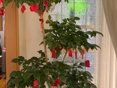 -沐森 •疗愈头疗馆(打浦桥店)