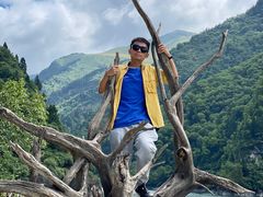 -叠溪松坪沟景区