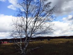 -塞罕坝国家级自然保护区