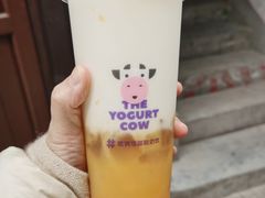 -磁器口古镇