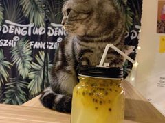 -平行世界·猫咖(首经贸店)
