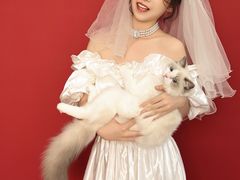 -猫遇摄影工作室