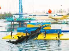 -秦皇岛乐岛海洋王国