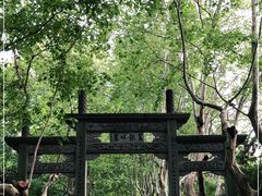 -杭州黄龙洞