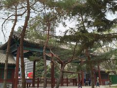 -北陵公园