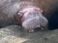 -波塞冬海底世界