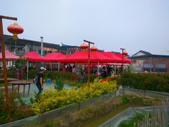 -小鱼草莓采摘园农家乐·小鱼餐厅