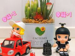 -泡泡玛特POPMART(苏州诚品生活店)