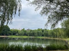 -堤角公园