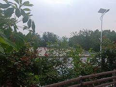 -蘇河湾·新鲁菜·泰山宴(泰山店)