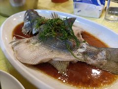 -盛记顺德高佬猪杂粥