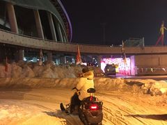 -沈阳奥体冰雪嘉年华