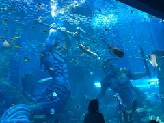 -波塞冬旅游度假区