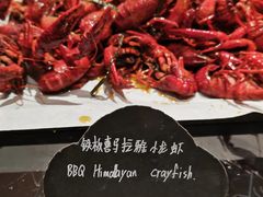 -张江海科雅乐轩聚聚乐