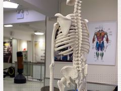 -中田健身工作室(东园店)