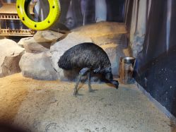 -酷嗒动物文化乐园(cutezoo西溪乐天城店)