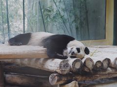 -杭州野生动物世界