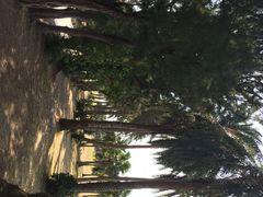 鹅銮鼻公园-鹅銮鼻公园