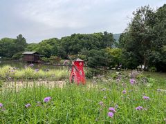 -宝岩生态观光园