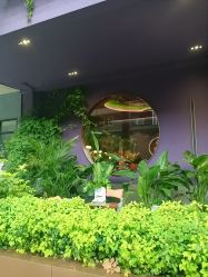 -花隐·美芙炫海菲秀皮肤管理中心