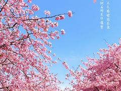-上海辰山植物园