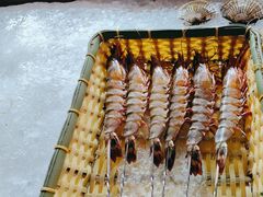 -蚝老板海鲜烧烤大排档(码头店)