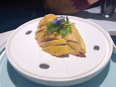 老上海白斩鸡-羲和雅苑•北京烤鸭(吴中路万象城店)