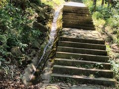 -北仑森林植物园