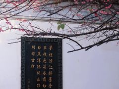 -八大山人梅湖景区