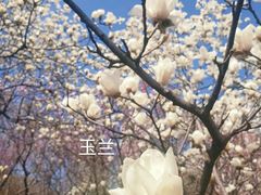 -白塘生态植物园