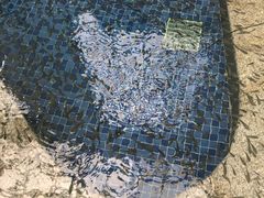 -大盘山温泉山庄