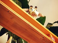 -长颈鹿咖啡(大学路店)