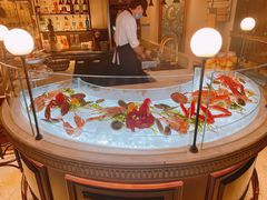 -壳里西餐厅Coquille Seafood Bistro(蒙自路店)