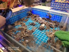 -万象·复兴号鲜肉烤肉海鲜自助(升级店)