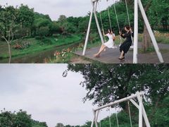 -鹅湖玫瑰文化园