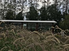 -前小桔亲子创意农场·草莓采摘·露营烧烤