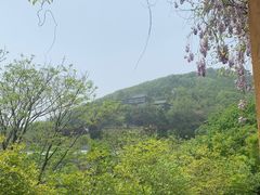 -石老人观光园