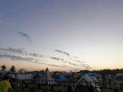 -春花秋色城市公园